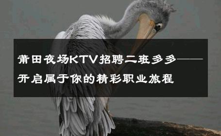 莆田夜场KTV招聘二班多多——开启属于你的精彩职业旅程