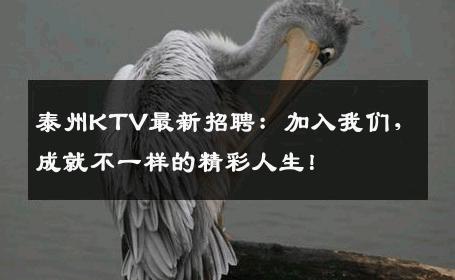 泰州KTV最新招聘：加入我们，成就不一样的精彩人生！