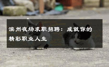 滨州夜场求职招聘：成就你的精彩职业人生