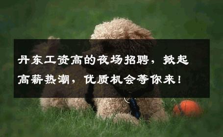 丹东工资高的夜场招聘，掀起高薪热潮，优质机会等你来！
