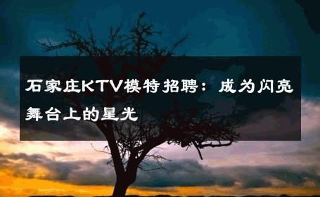 石家庄KTV模特招聘：成为闪亮舞台上的星光