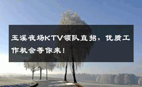 玉溪夜场KTV领队直招，优质工作机会等你来！
