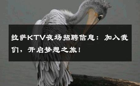 拉萨KTV夜场招聘信息：加入我们，开启梦想之旅！