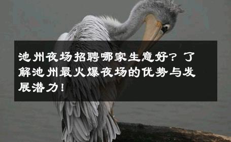 池州夜场招聘哪家生意好？了解池州最火爆夜场的优势与发展潜力！