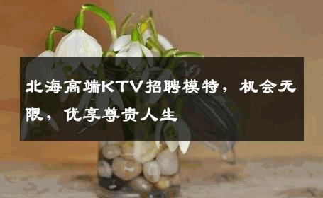 北海高端KTV招聘模特，机会无限，优享尊贵人生