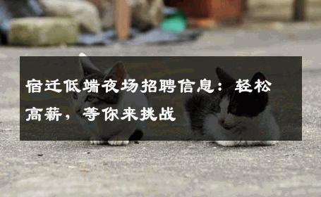 宿迁低端夜场招聘信息：轻松高薪，等你来挑战