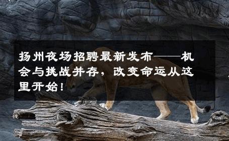 扬州夜场招聘最新发布——机会与挑战并存，改变命运从这里开始！