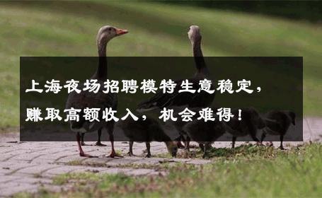 上海夜场招聘模特生意稳定，赚取高额收入，机会难得！