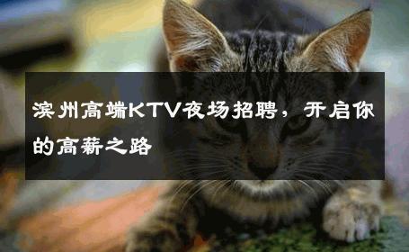 滨州高端KTV夜场招聘，开启你的高薪之路