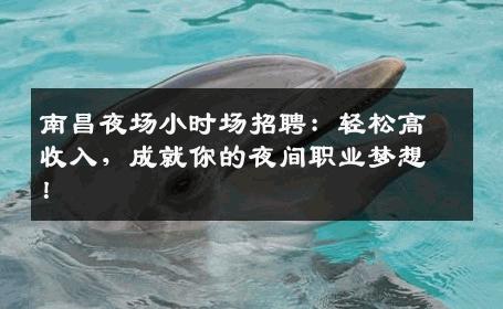 南昌夜场小时场招聘：轻松高收入，成就你的夜间职业梦想！