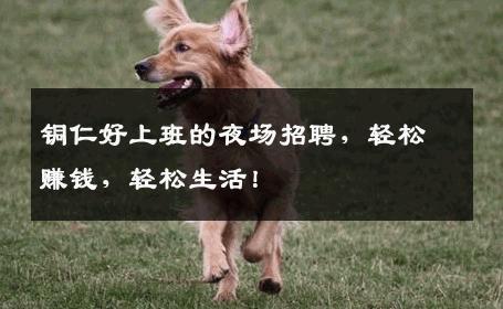 铜仁好上班的夜场招聘，轻松赚钱，轻松生活！