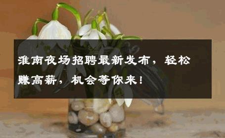 淮南夜场招聘最新发布，轻松赚高薪，机会等你来！