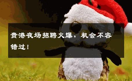 贵港夜场招聘火爆，机会不容错过！