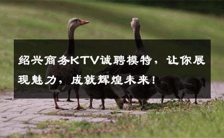 绍兴商务KTV诚聘模特，让你展现魅力，成就辉煌未来！