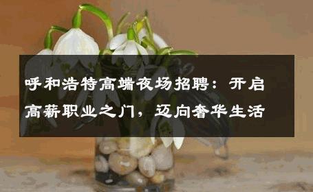 呼和浩特高端夜场招聘：开启高薪职业之门，迈向奢华生活