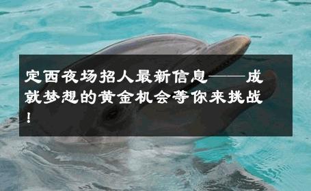 定西夜场招人最新信息——成就梦想的黄金机会等你来挑战！