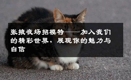 张掖夜场招模特——加入我们的精彩世界，展现你的魅力与自信