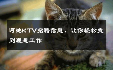 河池KTV招聘信息，让你轻松找到理想工作