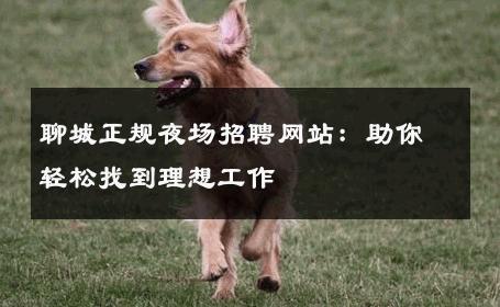 聊城正规夜场招聘网站：助你轻松找到理想工作