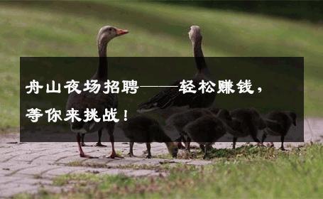 舟山夜场招聘——轻松赚钱，等你来挑战！