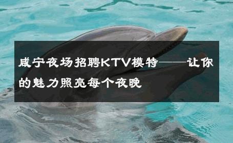 咸宁夜场招聘KTV模特——让你的魅力照亮每个夜晚