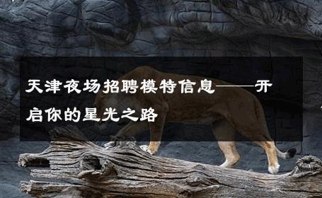 天津夜场招聘模特信息——开启你的星光之路