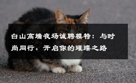 白山高端夜场诚聘模特：与时尚同行，开启你的璀璨之路