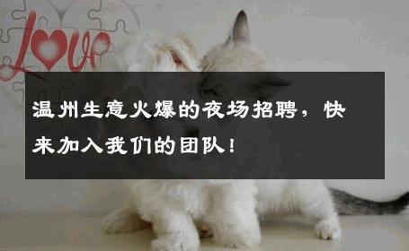 温州生意火爆的夜场招聘，快来加入我们的团队！