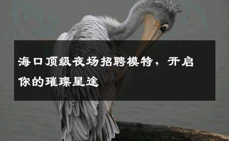 海口顶级夜场招聘模特，开启你的璀璨星途