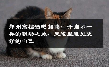 郑州高档酒吧招聘：开启不一样的职场之旅，来这里遇见更好的自己