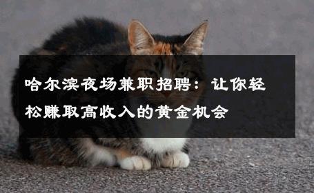 哈尔滨夜场兼职招聘：让你轻松赚取高收入的黄金机会