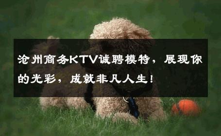 沧州商务KTV诚聘模特，展现你的光彩，成就非凡人生！