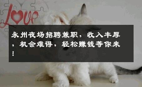 永州夜场招聘兼职，收入丰厚，机会难得，轻松赚钱等你来！