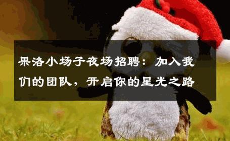 果洛小场子夜场招聘：加入我们的团队，开启你的星光之路