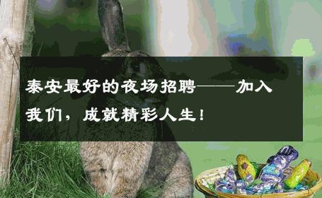 泰安最好的夜场招聘——加入我们，成就精彩人生！