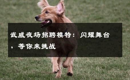 武威夜场招聘模特：闪耀舞台，等你来挑战