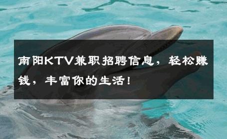 南阳KTV兼职招聘信息，轻松赚钱，丰富你的生活！