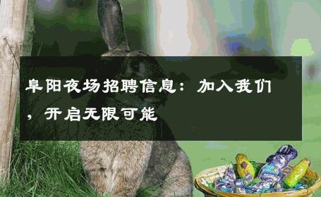 阜阳夜场招聘信息：加入我们，开启无限可能