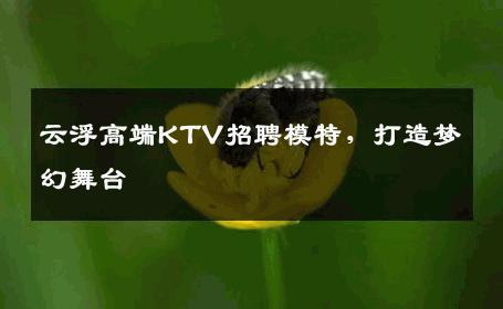 云浮高端KTV招聘模特，打造梦幻舞台