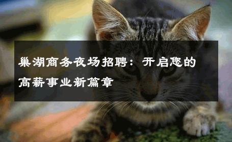 巢湖商务夜场招聘：开启您的高薪事业新篇章