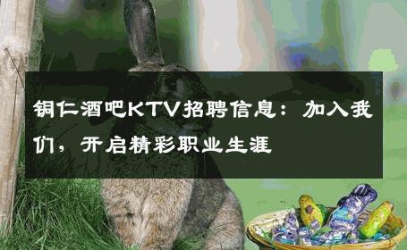 铜仁酒吧KTV招聘信息：加入我们，开启精彩职业生涯
