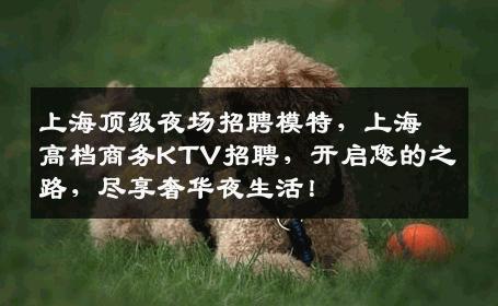 上海顶级夜场招聘模特，上海高档商务KTV招聘，开启您的之路，尽享奢华夜生活！
