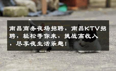 南昌商务夜场招聘，南昌KTV招聘，轻松等你来，挑战高收入，尽享夜生活乐趣！