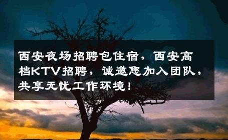 西安夜场招聘包住宿，西安高档KTV招聘，诚邀您加入团队，共享无忧工作环境！