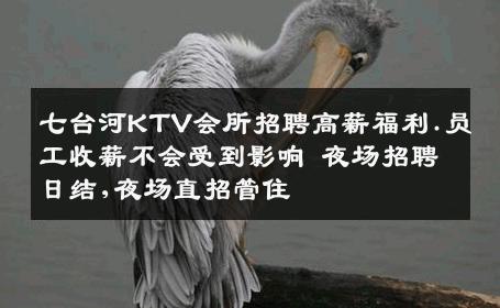 七台河KTV会所招聘高薪福利.员工收薪不会受到影响 夜场招聘日结,夜场直招管住