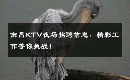 南昌KTV夜场招聘信息，精彩工作等你挑战！