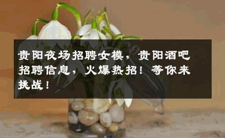 贵阳夜场招聘女模，贵阳酒吧招聘信息，火爆热招！等你来挑战！