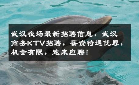 武汉夜场最新招聘信息，武汉商务KTV招聘，薪资待遇优厚，机会有限，速来应聘！