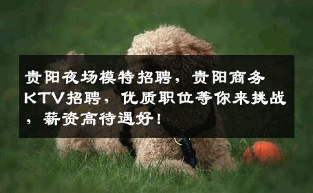 贵阳夜场模特招聘，贵阳商务KTV招聘，优质职位等你来挑战，薪资高待遇好！