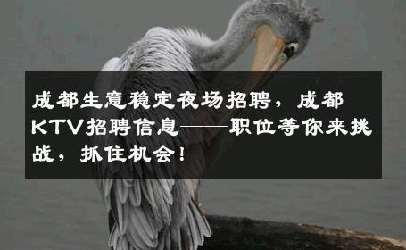 成都生意稳定夜场招聘，成都KTV招聘信息——职位等你来挑战，抓住机会！